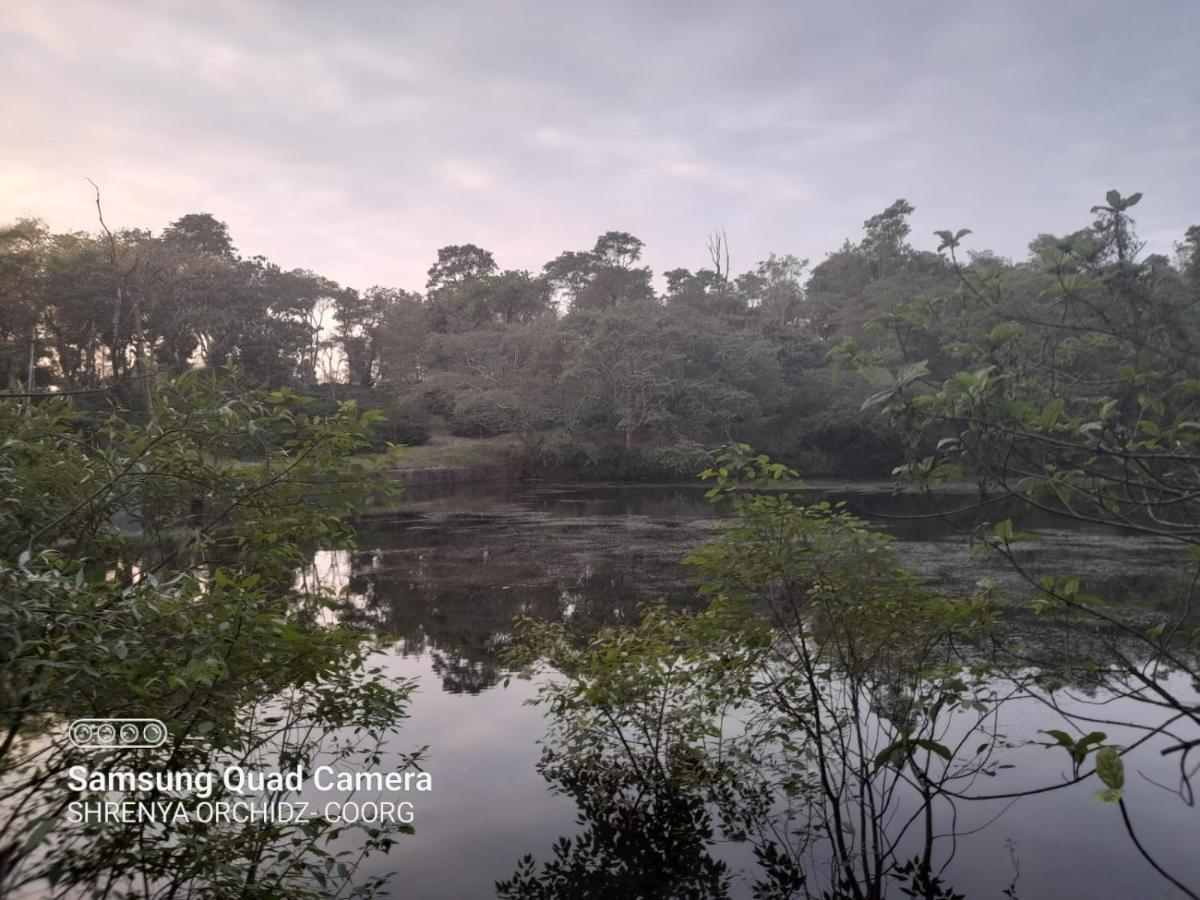 Shrenya Orchidz-Coorg Nature Stay 마디케리 외부 사진