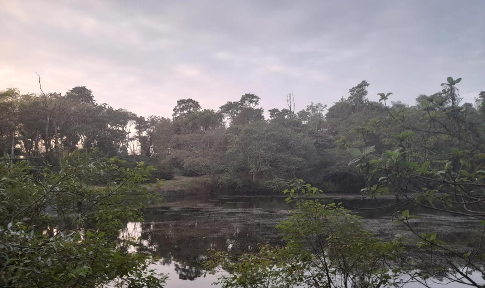 Shrenya Orchidz-Coorg Nature Stay 마디케리 외부 사진
