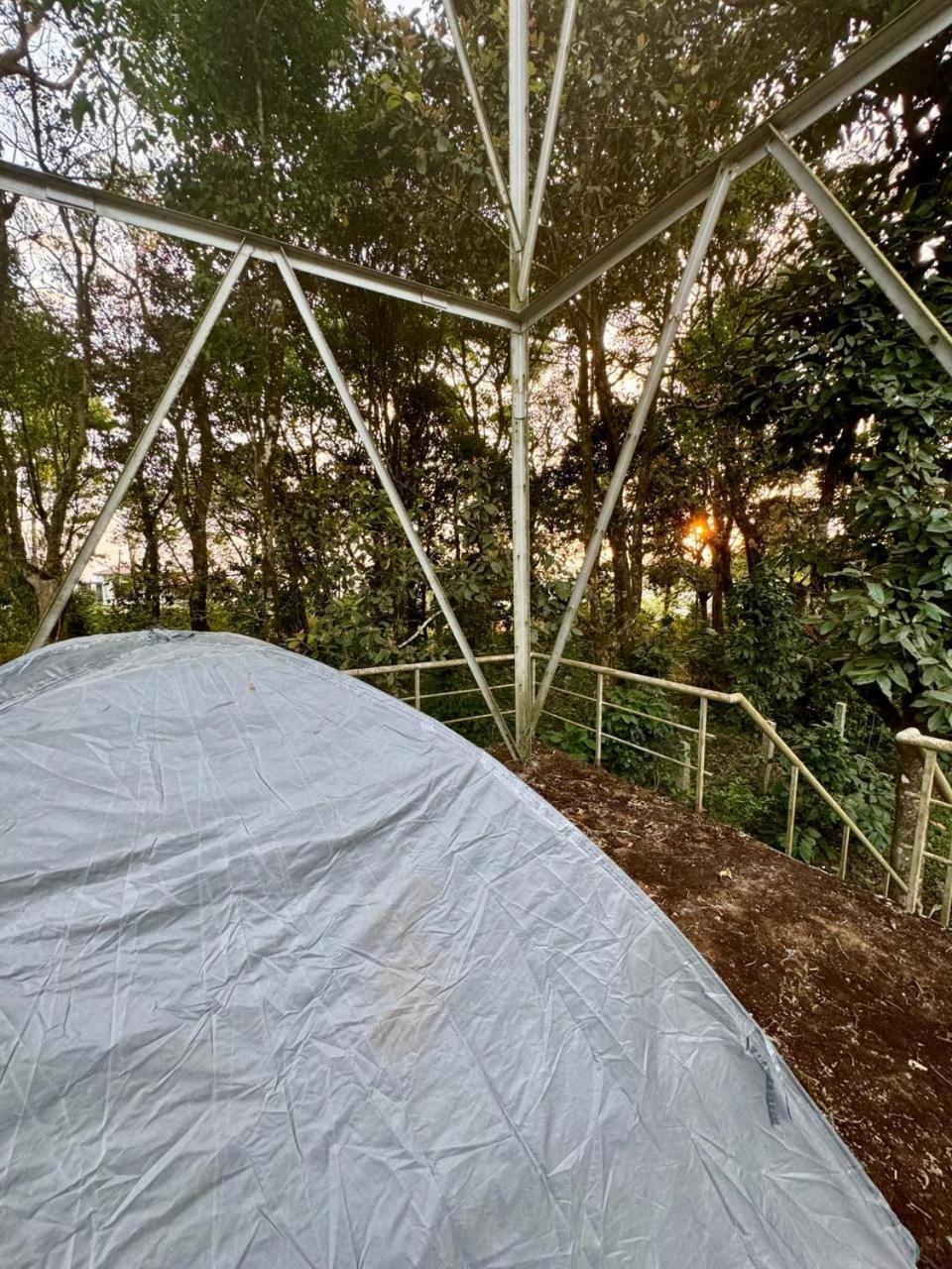 Shrenya Orchidz-Coorg Nature Stay 마디케리 외부 사진