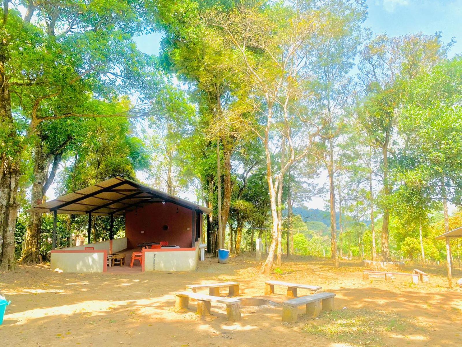 Shrenya Orchidz-Coorg Nature Stay 마디케리 외부 사진